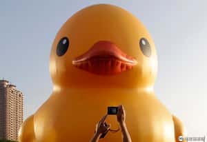 香港人瘋台灣 成移民新熱點