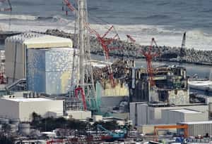 日本東電承認輻射物滲進大海