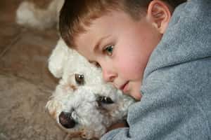 狗不喜歡抱抱？加國專家教你怎麼愛狗