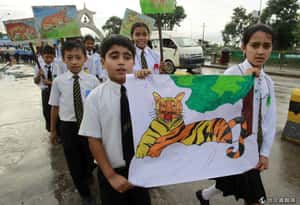 保育強心針  尼泊爾老虎數止跌回升