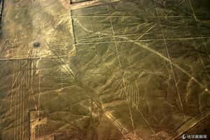 神秘納斯卡線遭破壞 秘魯政府要告綠色和平組織