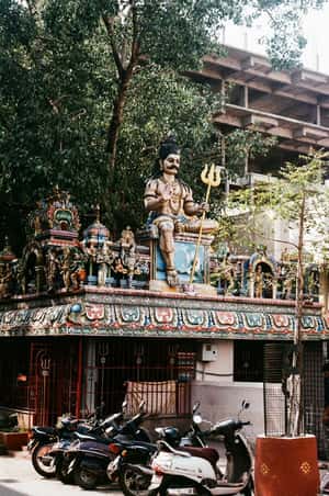 為什麼印度人不在星期二剪頭髮？原來印度也有風水學！