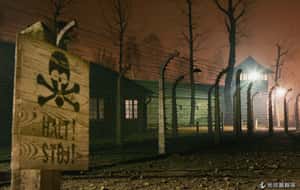 大屠殺可以預測嗎？