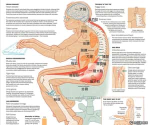 一張圖讓你看清久坐不動的危機