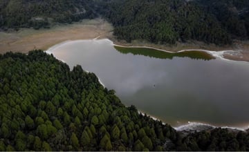太平山翠峰湖｜全球第一條Quiet Trail，彷彿走進天然錄音室 - Alp Forest 戶外生活媒體平台