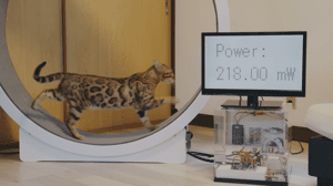 「想吹冷氣就跑起來！」日本企業測試用貓發電，可以月省多少錢