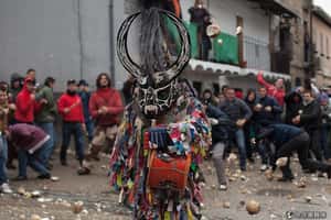 飛天蕪菁來打怪！  西班牙的大頭菜狂歡節