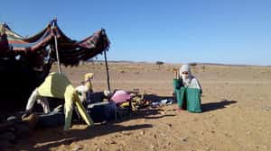 在撒哈拉會與誰相遇？