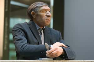 【地球圖書館】尼安德塔人與現代人祖先的「情慾流動」之謎