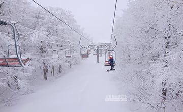 台灣雪友的夢幻滑雪場首選！藏王溫泉滑雪場：泡溫泉賞樹冰，滑雪清單的前3名
