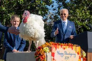 （2024更新）拜登與他最後的特赦火雞　白宮舉行感恩節傳統「赦免火雞儀式」