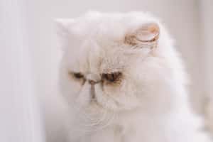 5句英文厭世語錄，幽默負能量為你充電！