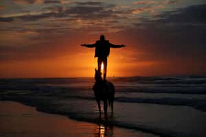 【地球 24小時】12/31 最後一個2019年的日落