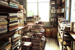 菲律賓「教父」把自己家變圖書館