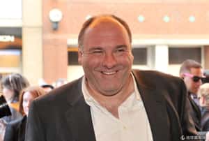 美國影星詹姆斯甘多費尼逝世