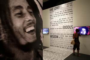 【地球圖書館】是民權還是特權？當種族已成為美國文化的全部 