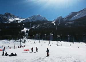 在法國，滑雪是貴族的運動？