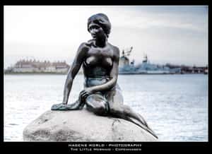 丹麥公民考試有夠難  電影首映日也成題目