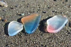 海灘玻璃貨幣  神奈川美麗交易