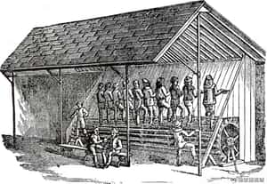 帶給你健康的跑步機  背後原型來自監獄