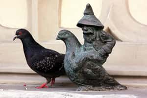 這些小矮人曾是反共象徵  到波蘭來場狩獵「小人」之旅吧！