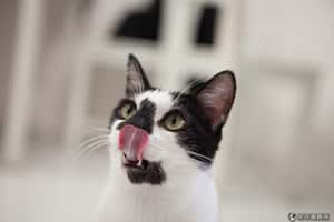 2014 年度十二大吸睛話題回顧