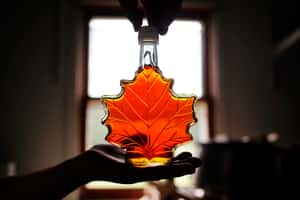 加拿大液體黃金面臨短缺危機 「楓糖漿界OPEC」釋出一半庫存拯救鬆餅