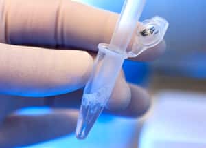 把《創世紀》和《古蘭經》注入體內  法國高中生讓科學和宗教大和解