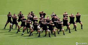 【輕鬆看的地球 24小時】10/06 在賽前跳起紐西蘭戰舞「哈卡」