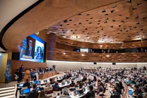 台灣連續9年沒有受邀WHA　官方、民間、友邦呼籲：讓台灣加入吧！