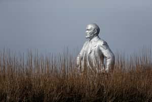 【地球 24小時】02/20  荒煙蔓草中的他