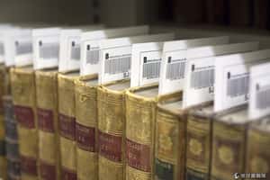 IS破壞千年古史   館員嘆：他們只用自己的角度看歷史