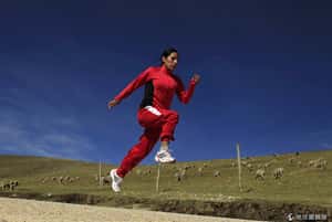 治中風 運動跟藥物一樣有效