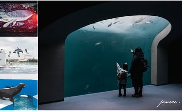 四國香川景點｜四國水族館｜超震撼巨型水槽．70多種夢幻水景．可愛海豚秀 – 潔妮食旅生活