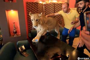 【不給吸的地球 24小時】09/02 可以跟我玩嗎？