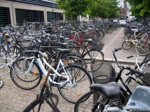 丹麥腳踏車城市不是偶然，聰明思維決定政策成敗