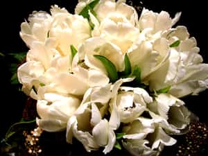 人人都能當巴黎公共空間的園丁，巴黎政府要讓所有居民來綠化花都