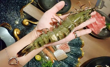 蘆竹火鍋推薦│金蒔鍋物-桃園大竹總店，在歐系質感中享受精緻火鍋，湯頭鮮美，活跳海鮮、高品肉類，自助吧吃到飽，沒想到吃火鍋也能如此高質感│蘆竹美食推薦2025