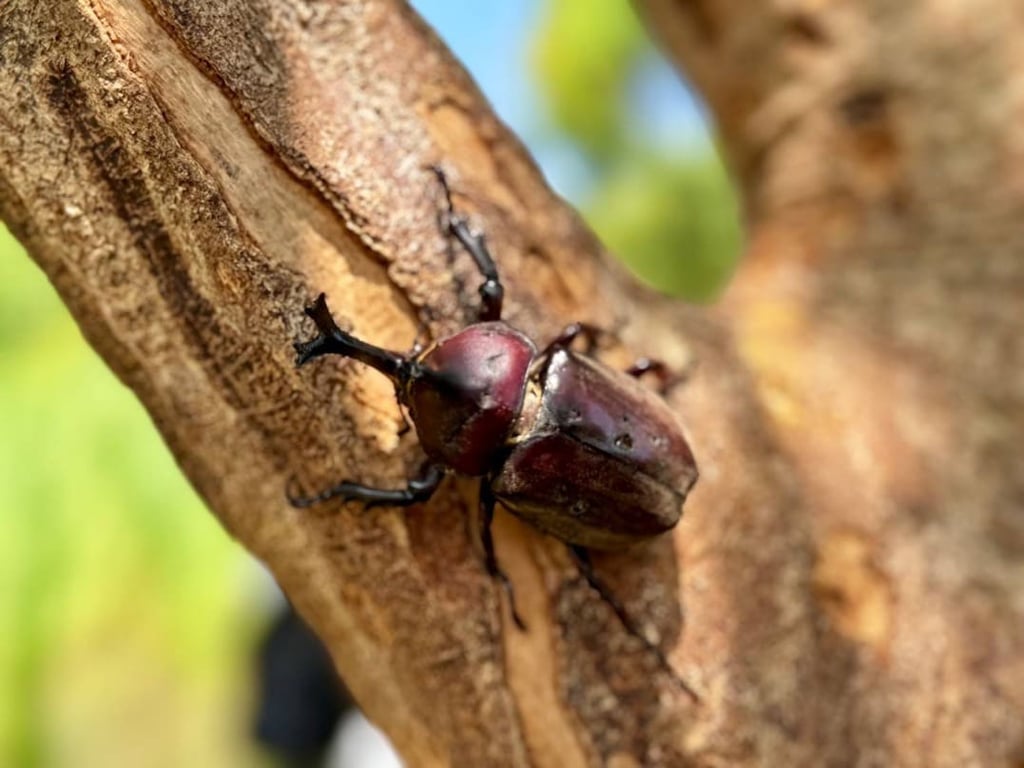淡水三芝農村輕旅行　體驗山海詩路文化之美