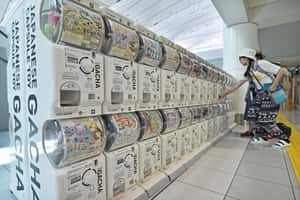 抱怨父母也抱怨投錯胎，日本年輕人的「父母扭蛋失敗」