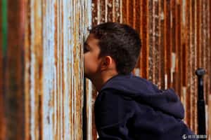 找建設商蓋模型  美墨邊境「又大又美麗的圍牆」開始動作