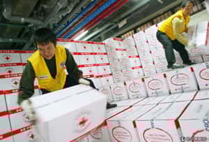 國際紅十字會日    全球志工特輯