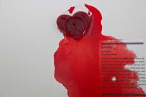 愛情遺物引共鳴 中國失戀博物館療癒悲傷