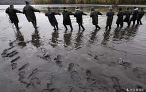 全民瘋鯉魚  捷克獨有秋日美景