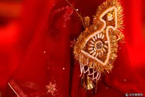 現代版奴隸制度  英國強迫婚姻的真相