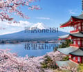 日本自由行攻略｜東京・大阪怎麼玩？行程、美食與夜生活一次整理