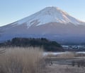關東跟團，東京＋富士山＋輕井澤這樣玩最順
