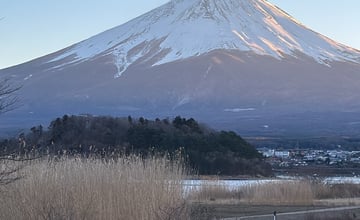 關東跟團，東京＋富士山＋輕井澤這樣玩最順