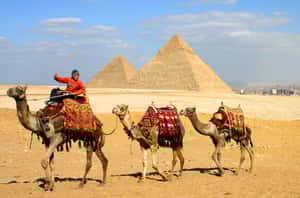 埃及挖出七千年古城   觀光業好消息！