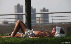 發燙大蘋果：紐約市